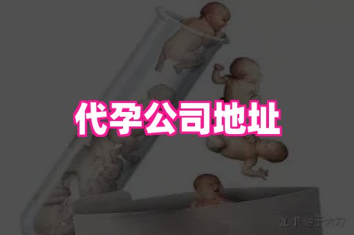 厦门助孕网站 2
